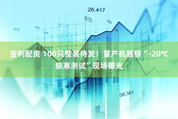 宝利配资 100只整装待发！量产机器狼“-20℃极寒测试”现场曝光