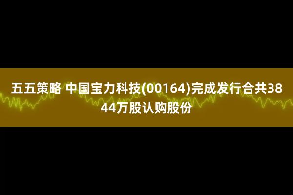 五五策略 中国宝力科技(00164)完成发行合共3844万股认购股份