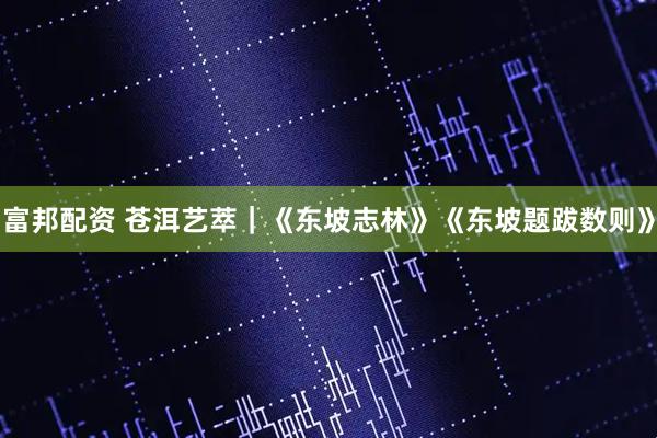 富邦配资 苍洱艺萃｜《东坡志林》《东坡题跋数则》