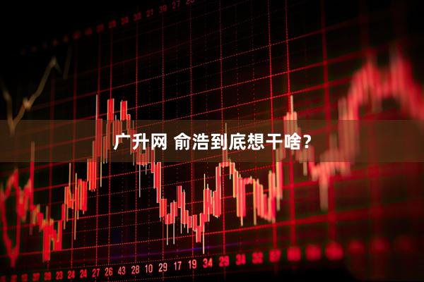 广升网 俞浩到底想干啥?