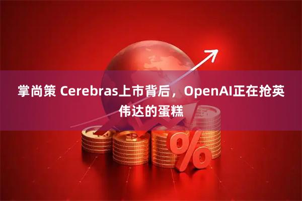 掌尚策 Cerebras上市背后，OpenAI正在抢英伟达的蛋糕