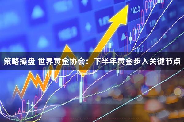 策略操盘 世界黄金协会：下半年黄金步入关键节点