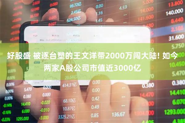 好股盛 被逐台塑的王文洋带2000万闯大陆! 如今两家A股公司市值近3000亿