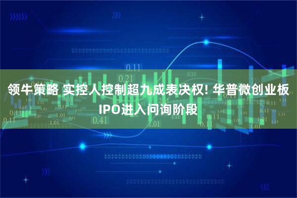 领牛策略 实控人控制超九成表决权! 华普微创业板IPO进入问询阶段