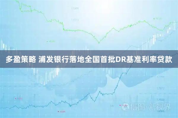 多盈策略 浦发银行落地全国首批DR基准利率贷款
