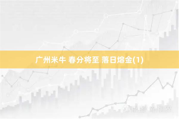 广州米牛 春分将至 落日熔金(1)