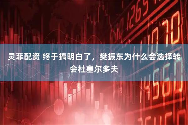 灵菲配资 终于搞明白了，樊振东为什么会选择转会杜塞尔多夫