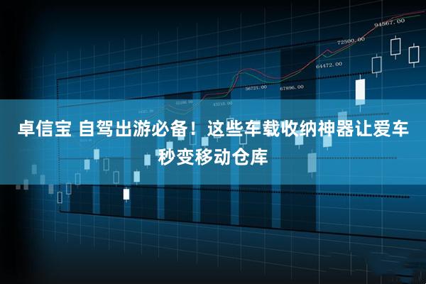 卓信宝 自驾出游必备！这些车载收纳神器让爱车秒变移动仓库