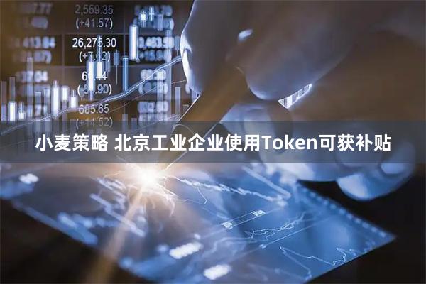 小麦策略 北京工业企业使用Token可获补贴