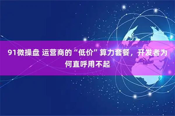 91微操盘 运营商的“低价”算力套餐，开发者为何直呼用不起