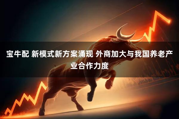 宝牛配 新模式新方案涌现 外商加大与我国养老产业合作力度