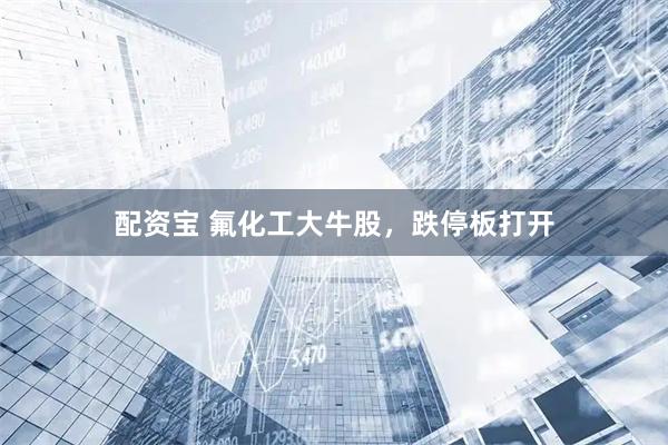 配资宝 氟化工大牛股，跌停板打开