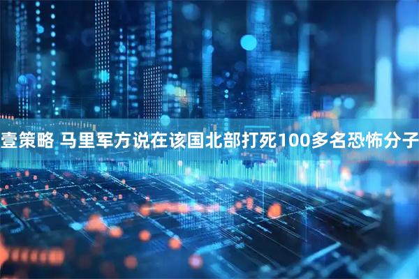 壹策略 马里军方说在该国北部打死100多名恐怖分子