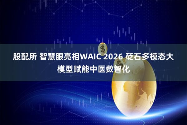 股配所 智慧眼亮相WAIC 2026 砭石多模态大模型赋能中医数智化